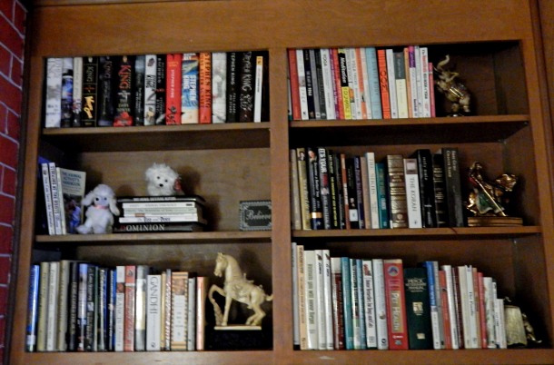 bookshelf 2